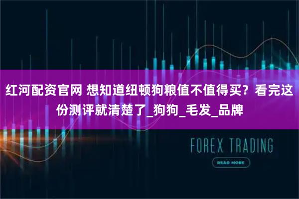 红河配资官网 想知道纽顿狗粮值不值得买？看完这份测评就清楚了_狗狗_毛发_品牌